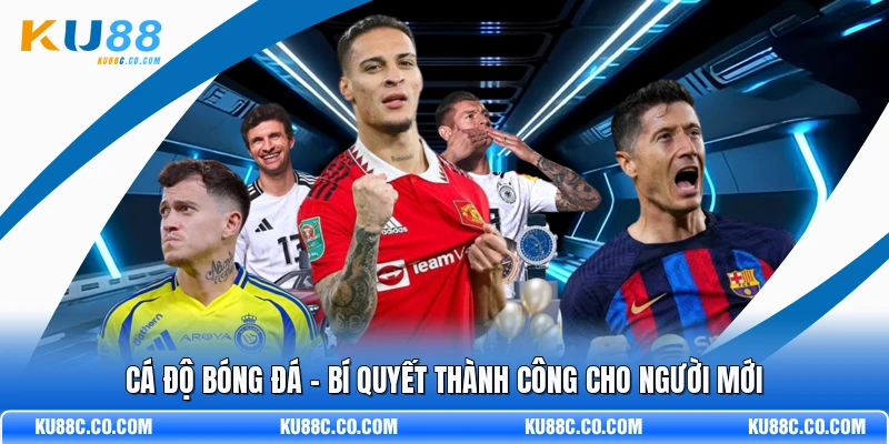 Cá Độ Bóng Đá